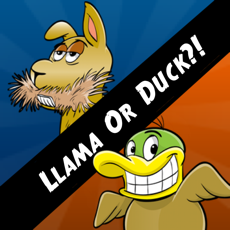 Activities of Llama Or Duck?!