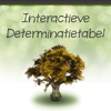 Interactieve Determinatietabel