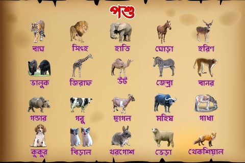 Bengali Animals screenshot 2