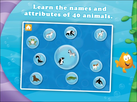 Bubble Guppies: Animal School Day HD screenshot 3