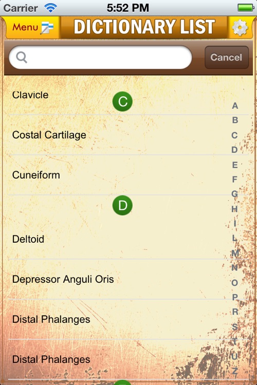 Anatomy Muscle and Bone: Visual Game & Dictionary screenshot-4