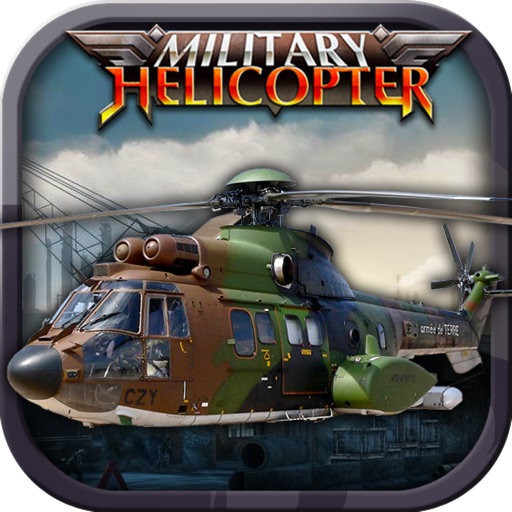 best cheap helicopter sim set up