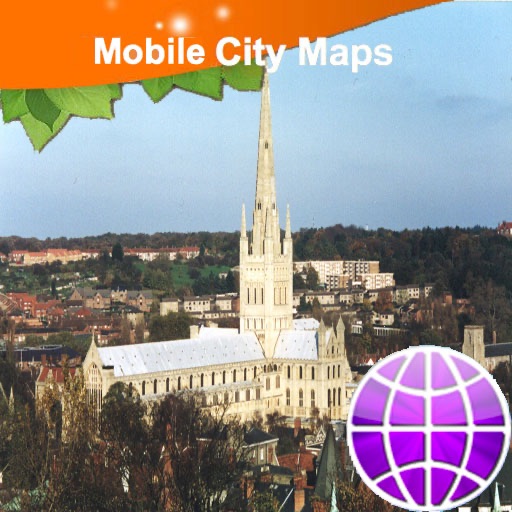 Norwich Street Map icon