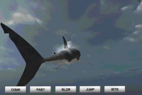 Pet Shark screenshot 3