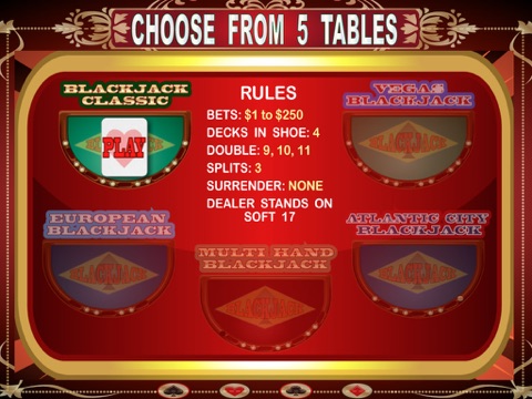 Blackjack Pro HD screenshot 2