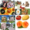8 Picture jigsaw PuzzleGame - 6 Cognitive Slider brain teasers & 4 shuffle pack puzzle game