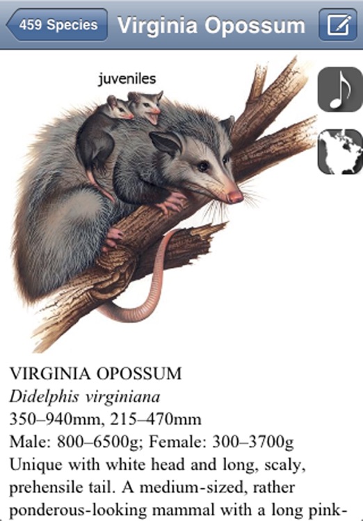 Mammals of North America