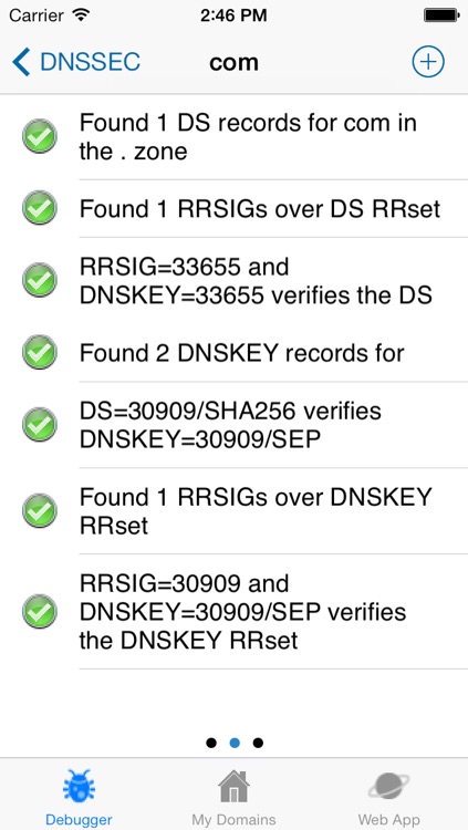 DNSSEC ANALYZER screenshot-3