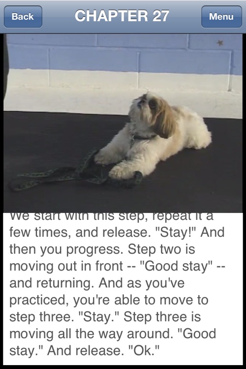 Dog Training