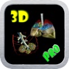 3D Human Lung And Blood Circulation_HD