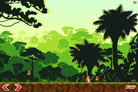 Jumping Hedgehog Adventure Dash screenshot 3