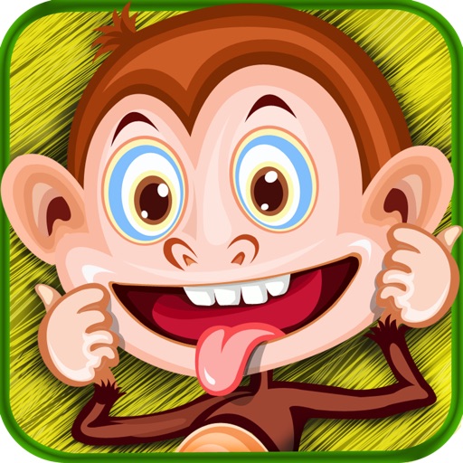 Mr Monkey's Dumb Puzzle Practice Test iOS App