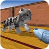 Cu Cat in Fish Factory Dash Cu Cat in Fish Factory Dash