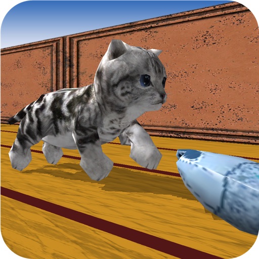 Cu Cat in Fish Factory Dash iOS App