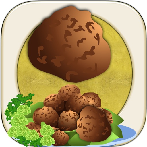 Rolling Meatball Maze Control Pro - Food Mountain Tilt Slide Saga Icon