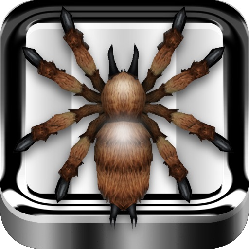 Attack Spider HD - the interactive Tarantula iOS App