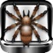 Attack Spider HD - the interactive Tarantula