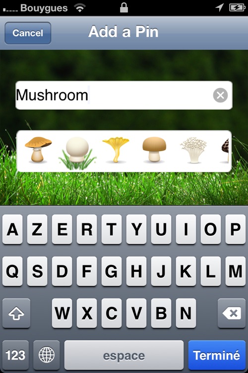 My Mushrooms