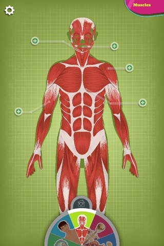 The human body explained by Tom - Discovery screenshot 3