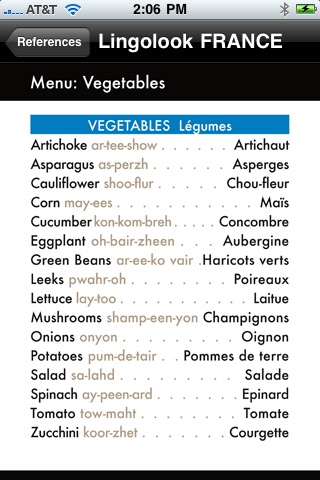 Lingolook FRANCE screenshot-4