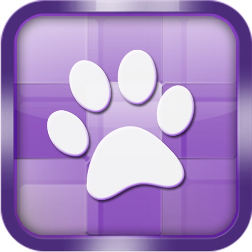 Cat Quiz Slide Puzzle iOS App
