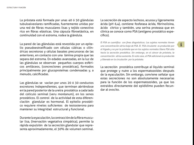 prostata funcion y estructura