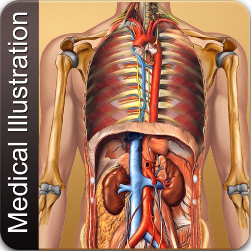 Illustrated Medical Dictionary icon