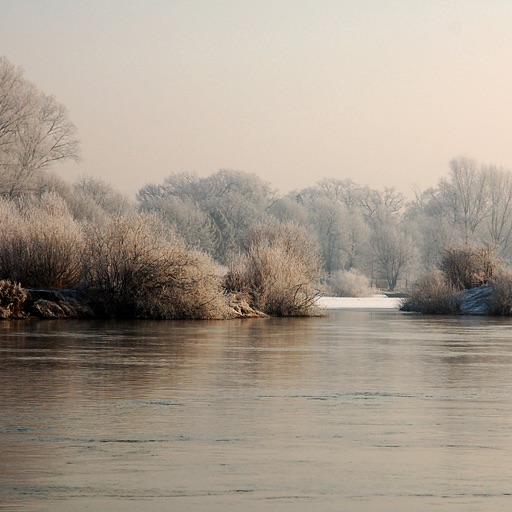 Winter Landscape icon