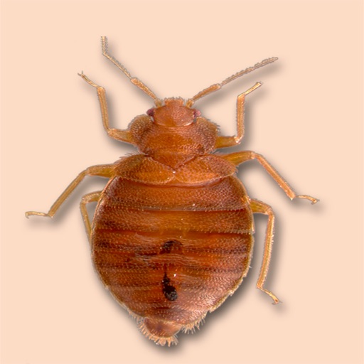 iPest3 by University Of Florida, Gainesville