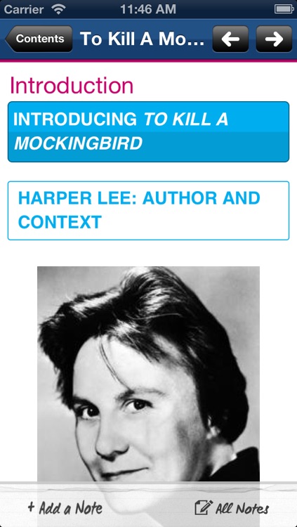 To Kill A Mockingbird York Notes GCSE