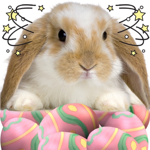 A Whack - A - Bunny HD icon