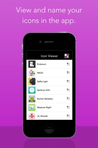 Icon Viewer screenshot 2