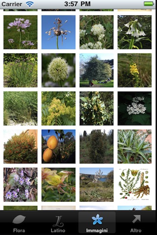 Flora Italiana screenshot 3