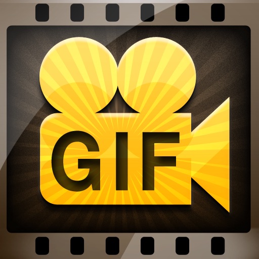 GIF Flash Camera Icon