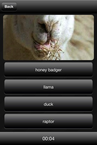 Llama or Duck or Honey Badger or Raptor? screenshot 2