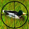 Duck Hunting : The after Deer season Hunt in Grand Park Forest - Free Edition