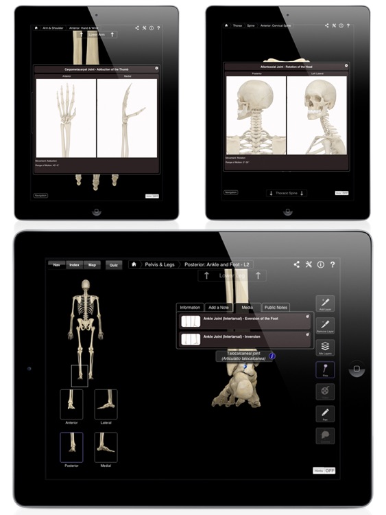 Skeleton System Pro III screenshot-4