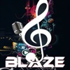Blaze MultiRoom Audio-12 Zone