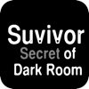 Survivor - Secret for Dark Room