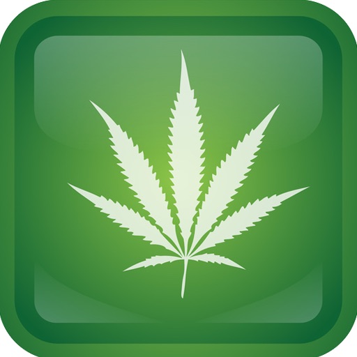 Weed Quiz iOS App