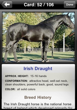 Horses Flip: Flashcards of Horse Breeds screenshot 3