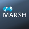 Marsh Risk Management Research