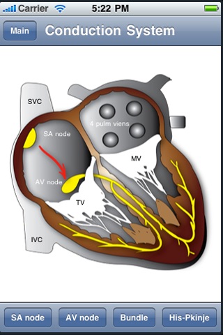 Heart Illustrated screenshot 2