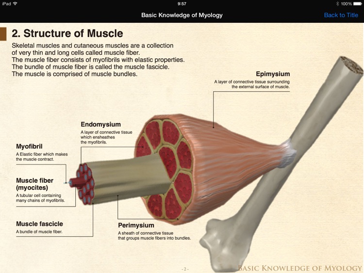 DS ANATOMY HEAD & NECK MUSCULOSKELETAL SYSTEM Lite screenshot-3