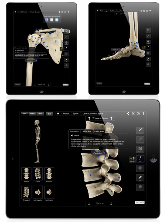 Skeleton System Pro III screenshot-3