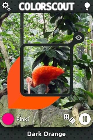 ColorScout Color Search Game – Play "I spy with my little eye" and learn colors screenshot 2