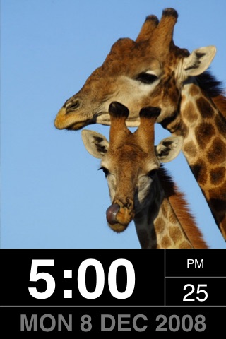 PhotoFrame: Wild!