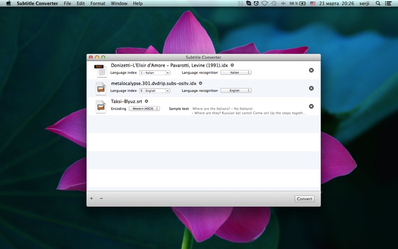 Subtitle Converter мініатюра 1