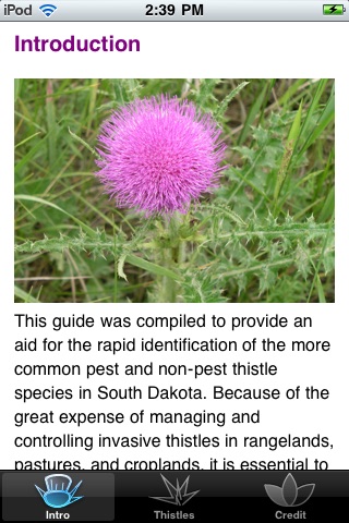 Thistles of South Dakota screenshot 2