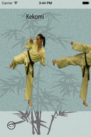 Karate Shotokai screenshot 2